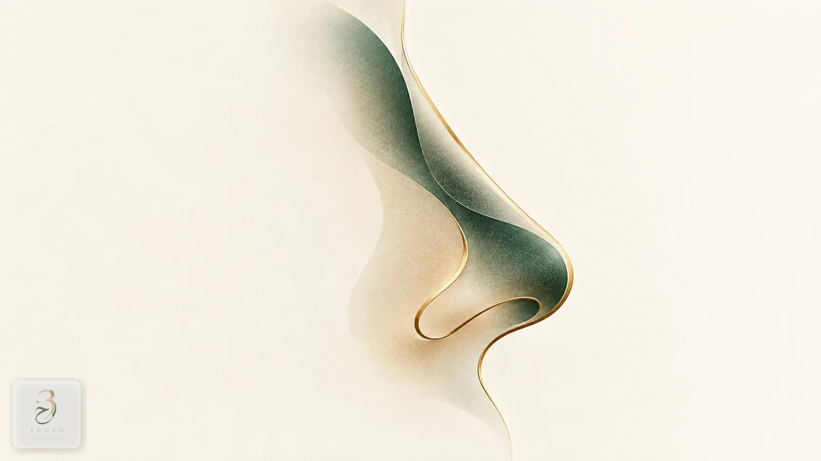 A gold nose framework softly hidden beneath a thick rounded layer, representing a fleshy nose