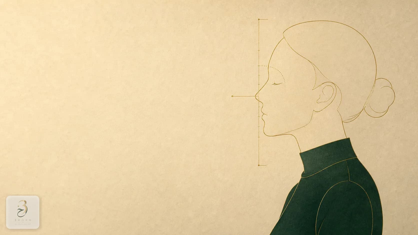 Abstract nasal profile with reference lines marking projection and the named regions of the nose