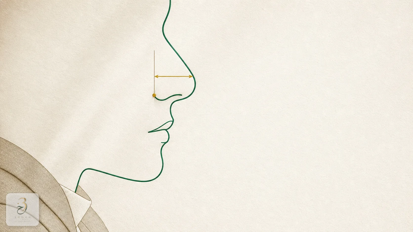 Simplified profile view of a nose showing the forward distance of the tip from the plane of the face