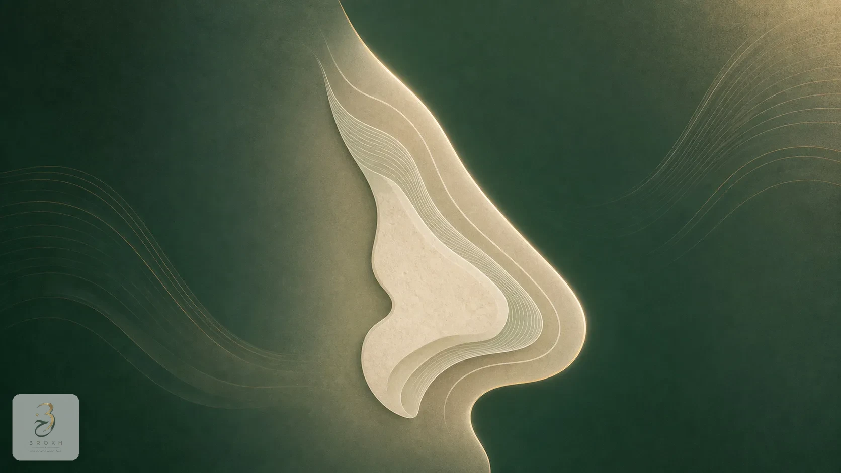 نمایی انتزاعی از لایه‌های پوست، غضروف و استخوان روی یک نیمرخ بینی