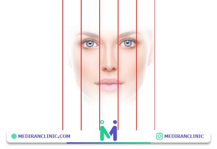 تقسیم بندی چهره در زیبایی شناسی عمل بینی